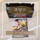 농업회사법인 주식회사 진도다도해흑염소 | 흑양고 흑염소 진액 액기스 임신 준비하며 흑염소 즙 딱 한 번 마시고 임신 성공한 후기