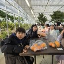 예성태권도 | 광주태권도 우리 아이의 꿈을 키우는 예성태권도 후기