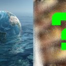 구룡서길 이미지