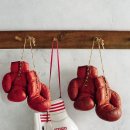 비엔에스 이미지