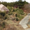 동향교1길 이미지