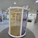 경기도 수원시 권선구 경수대로 393 (권선동) | 아이들이랑 어디 가지? 애들은 키카죠 수원 권선동 키즈카페 챔피언 NC백화점 수원터미널점