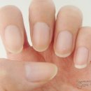 네일갤러리 이미지