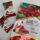 카니코리아 이미지