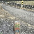 판포따숨 | 제주 서쪽 판포포구 감성숙소 판포따숨 ! 독채, 풀빌라, 자쿠지 오션뷰숙소