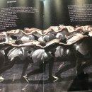 미녀공장하모니 | LG아트센터 서울에서 프렐조카쥬 발레 '백조의 호수' 첫날(22일) 공연을 보고.