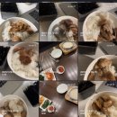 에이펙스 피트니스 구로디지털점 이미지