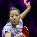 신유빈 카카오 검색결과