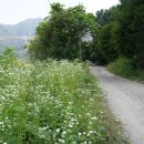 웅치마을길 이미지