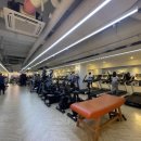 더 바디 피트니스 이미지