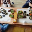 관성2농장 이미지