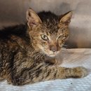 다솔메디칼 이미지