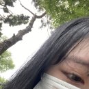 광광렉카 네이버블로그