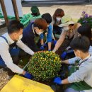 수한초등학교 이미지