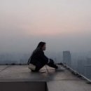 볕들