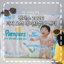 아이터치 | 열 많은 아이를 위한 여름 기저귀 팸퍼스 2026 터치 오브 네이처 썸머 사용 후기