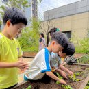 9월 활동) 푸른하늘의 날🌏, 김장채소심기🥬, 다문화이해교육🇲🇽, 도자기체험🏺 이미지