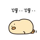 임학포토