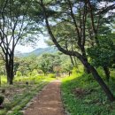 용두산산림욕장 네이버블로그