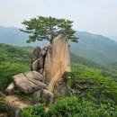 [제219차 정기산행]충북제천 작은동산 이미지