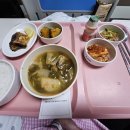 파티마의료기 이미지