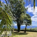 씨유양산남부퍼플점 | [괌 태교여행_6일차②] 남부투어(세티만전망대,솔레다드요새,메리조포구,이나라한자연풀장)