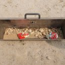 수미초교병설 이미지