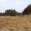 남원읍-44 이미지