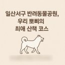 뽀삐뽀삐 | 일산서구반려동물공원 실제 이용 후기 – 뽀삐의 일상 속 힐링 스팟
