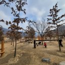 좌산농장 이미지