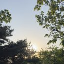 김영농장 | 베이비송:::다음주엔 100% 수박쥬스가 옵니다! / 블루베리랑 고등어 오늘 마감해야해요, 아직 주문안...