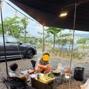 밀양장금이 | 벌써.. 여름..?