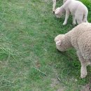 남해-256 이미지