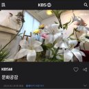 페이퍼플라워 토탈공예 이미지