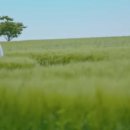 은애농장 이미지