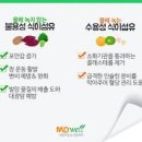 식이섬유의 종류와 하루 권장 섭취량 많은 음식 차전자피 이미지