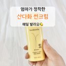 산다화 - 울주군 | 매일 산책하는 엄마 추천 산다화 썬크림 솔직 후기