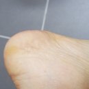 (주)피쉬케어 이미지