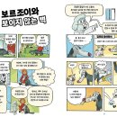 멍멍스푼 이미지