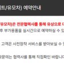 제주라온카시트