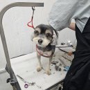 뽀독뽀독 이미지