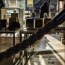 마스타카 이미지