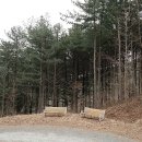 비슬산둘레길 7구간 이미지