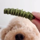 알파덴탈 이미지