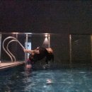 더레지아D 이미지