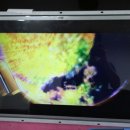 손오공게임장 이미지