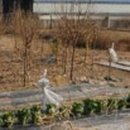 군위군효령면보건지소 이미지