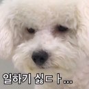 공감 - 나주시 대호길 10 | 공감