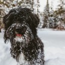 위례S동물의료센터 이미지