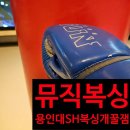 용인대SH복싱